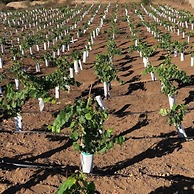 Casa Misiones Glamping