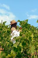 Casa Misiones Glamping