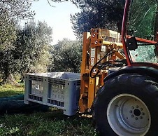 Villa Cavalletti Camere