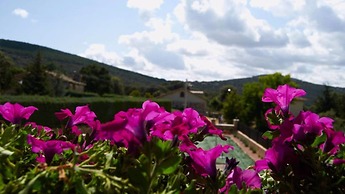 Hostal Residencia Pico de los Haces