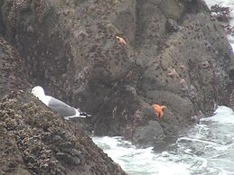 Admiral's Beach Retreat