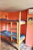 Twin Fin Hostels
