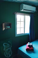 Twin Fin Hostels