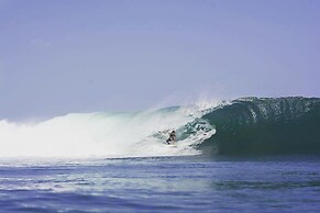 Twin Fin Hostels