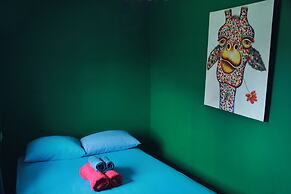 Twin Fin Hostels