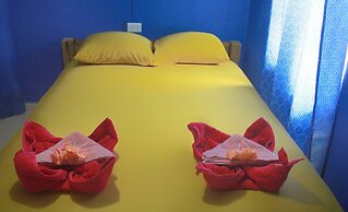 Twin Fin Hostels