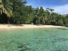 Twin Fin Hostels