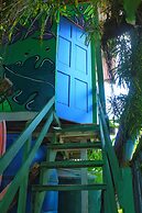 Twin Fin Hostels