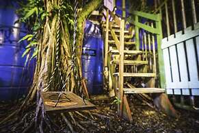 Twin Fin Hostels