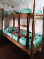 Twin Fin Hostels