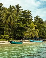 Twin Fin Hostels