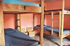 Twin Fin Hostels