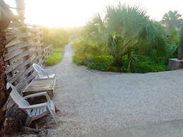 Crescent Palms