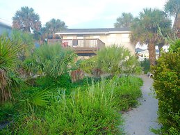 Crescent Palms