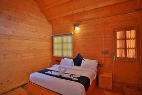 Camellia and Elettaria