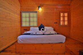 Camellia and Elettaria