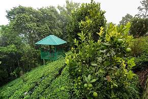 Camellia and Elettaria