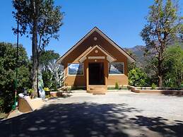 Camellia and Elettaria