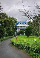 Camellia and Elettaria