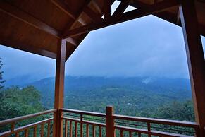 Camellia and Elettaria