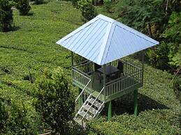 Camellia and Elettaria