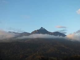 Camellia and Elettaria