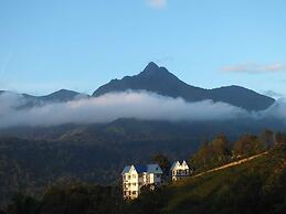 Camellia and Elettaria