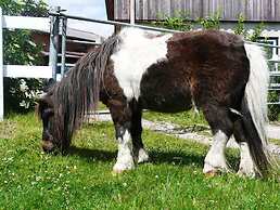 Ponyhof Naeve am Wittensee