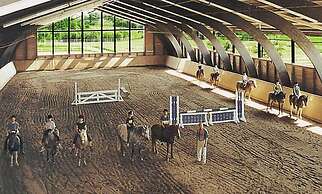 Ponyhof Naeve am Wittensee