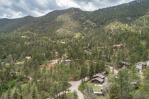 4BR Mountain Getaway Pikes Peak, Dog-friendly!