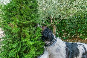 Villa Holiday Home Zvečanje