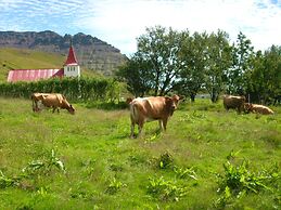 Ásólfsskáli Cottage