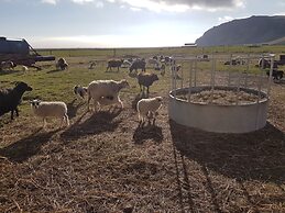 Ásólfsskáli Cottage