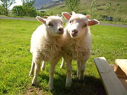 Ásólfsskáli Cottage