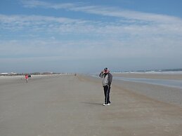 Spanish Trace 245