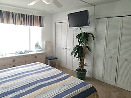 Spanish Trace 245