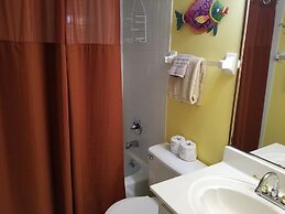 Spanish Trace 245