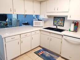 Spanish Trace 245