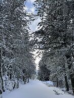 Pedra Nova - Turismo d'aldeia