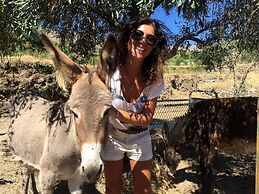 Pedra Nova - Turismo d'aldeia