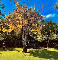 Pedra Nova - Turismo d'aldeia