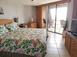 Hibiscus B203