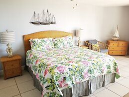 Hibiscus B203