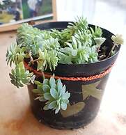 Hostal Bremen - Hostel