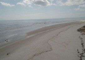 Sea Spray