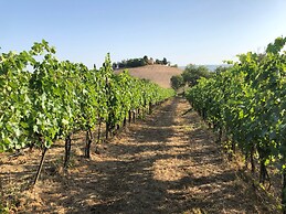 Poggio alla Pietra 26