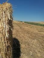 Poggio alla Pietra 26