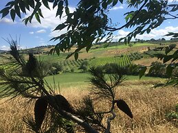 Poggio alla Pietra 26