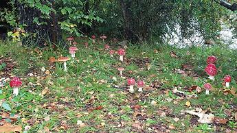 Aires Serranos - Suites