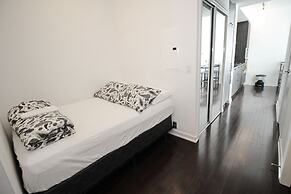 Luxury 2 BDR condos in Downtown Toronto